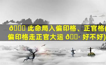🐅 此命局入偏印格、正官格(偏印格走正官大运 🌷 好不好)